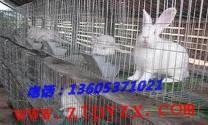 气囊供应商/生产供应【船舶上排、下水用气囊】价格-临朐润达水囊厂
