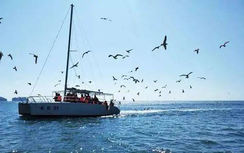 船用气囊在船舶上排与下水作业中的核心流程与应用